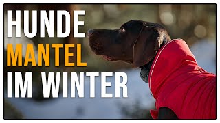 Mantel im Winter  Brauchen Hunde das  TGH 97 [upl. by Larrej]