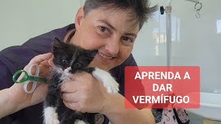 COMO DAR VERMÍFUGO PARA GATOS [upl. by Myk]