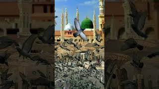 Hadees mubarik shorts status viral video islam motiviton [upl. by Anyr]