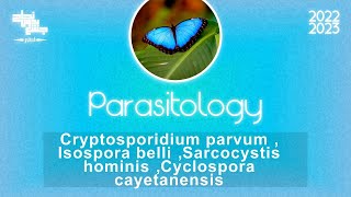 Cryptosporidium Isosporacyclosporaamp Sarcocystis  Parasitology [upl. by Oicaroh]