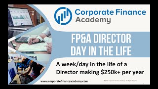 FPampA Director  A Day in the Life of a Finance Director [upl. by Garris650]