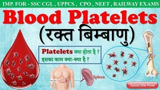 Blood platelets in hindi  platelets  Biology gk trick  SSC CGL CHSL  RAILWAY EXAM [upl. by Chloe]