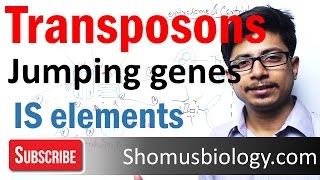 Transposable elements  transposons and is elements [upl. by Formenti]