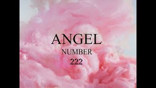 Angel Number 222 Attunement  Soulmate Love  Omniminal [upl. by Bela]