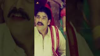 Dam Dama Dam Song  Eduruleni Manishi Movie  Nagarjuna  Soundarya  youtubeshorts  Mango Music [upl. by Atteirneh]