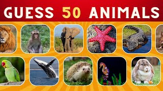 Test Your Animal IQ  Can You Guess The Animal The Ultimate Guessing Game  Riddle Planet [upl. by Monda159]