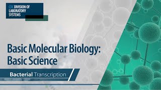 Basic Molecular Biology Basic Science – Bacterial Transcription [upl. by Alonzo]