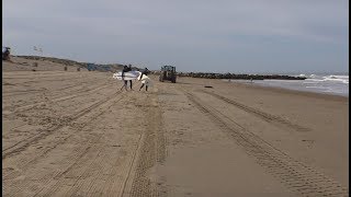 MONTALIVET  🏄‍♂️ 🌞 Petit Surf Californien Aout  MONTALIVET Surf TV [upl. by Tsai781]