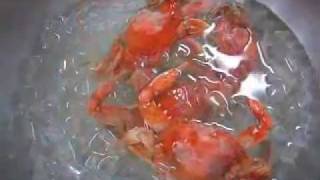 How to Boil Blue Crabs [upl. by Atipul33]