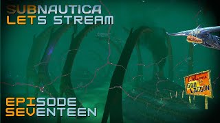 A River Underwater Subnautica Lets Stream 17 [upl. by Dyana]