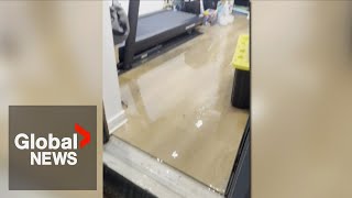 Toronto floods After water ran through basements owners ask who will cover the cost [upl. by Eixirt]