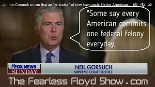 DID YOU COMMIT ONE FEDERAL FELONY TODAY Justice Gorsuch thinks so [upl. by Kannav148]