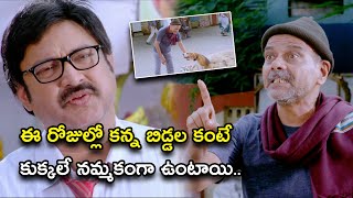 ఈ రోజుల్లో కన్న బిడ్డల కంటే కుక్కలే నమ్మకంగా ఉంటాయి  Tommy Telugu Movie Scenes  Rajendra Prasad [upl. by Ecnedurp]