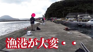 【漁港が大変】日曜日の湾内堤防はナブラやボイルが収まらず見たことないサイズがあがる [upl. by Eillam]