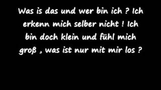 LaFee  Was ist das  Lyrics [upl. by Arbmat]