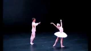 Yuan Yuan Tan amp Friedemann Vogel Swan Lake Pas de Deux [upl. by Anek671]