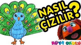 Nasıl Çizilir  Tavus Kuşu  Çocuklar İçin Resim Çizme  RÜYA OKULU [upl. by Obau]