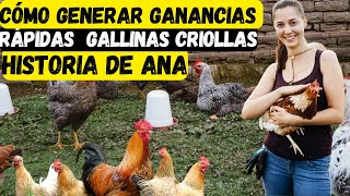 Cómo Generar Ganancias Rápidas con Gallinas Criollas historia de ana [upl. by Neeroc]