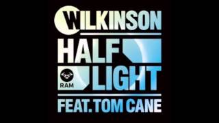 Wilkinson  Half Light ft Tom Cane RAM [upl. by Noxid902]