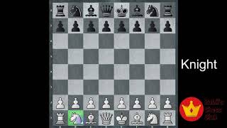 Chess pieces name  Hindi [upl. by Acila21]