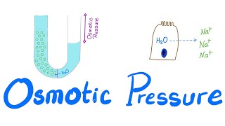 Osmotic Pressure  Osmosis  Colligative property  Physiology Series [upl. by Hawley311]