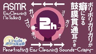 ASMR 2時間ずっと！ボリボリ・ガリガリ音が癖になる鼓膜貫通耳かき2h Brush Penetrating Ear Cleaning Sound01 声なしNo Talking [upl. by Nnail745]