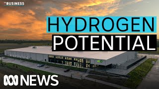 Why hydrogen could become as valuable as iron ore  The Business  ABC News [upl. by Courtnay779]