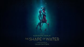 Alexandre Desplat The Shape of Water Theme Extended by Gilles Nuytens [upl. by Norted]