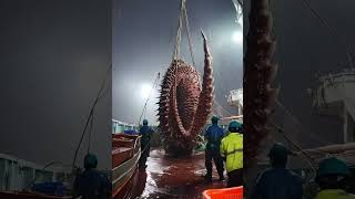 Giant Sea Monsters Caught by Fishermen 🐙🎣GiantSeaCreatures FishingDiscoveries OceanMysteries [upl. by Vedis696]