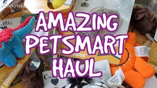 AMAZING PetSmart Haul 2017 Coupon Clearance Cat Toys Raw Cat Food [upl. by Osber]