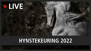 LIVE Hynstekeuring 2022 [upl. by Fe]