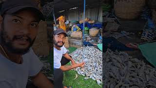 ఎండిచేపలు  dry fish market visakhapatnam vizag harbour trending viralvideo ytshortsexplore [upl. by Ardnaek]