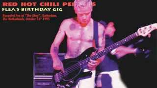 Red Hot Chili Peppers  Happy Birthday To Flea  Suffragette City Live [upl. by Filberte574]