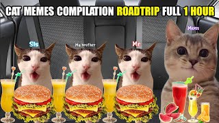 Cat Memes Compilation Roadtrip Full 1 Hour [upl. by Schouten]