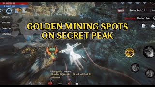 All Secret Peak Gold Mining Spots【 MIR4 】 [upl. by Ennaehr]