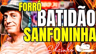 BATIDÃO SANFONINHA FORRÓ MEME TikTok [upl. by Nnalyrehs121]