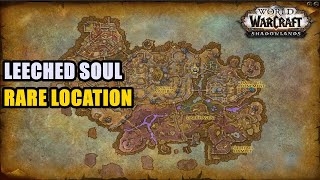 Leeched Soul Rare Location WoW [upl. by Aissej362]