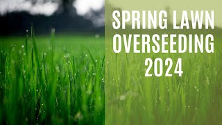 Spring Lawn Overseeding 2024 [upl. by Maxantia]