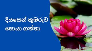 දියසෙන් කුමරුව සොයා ගත්තා DiyasenDiyasenKumarayaSakvithiRajuදියසෙන්දියසෙන්කුමාරයා [upl. by Yorgo]