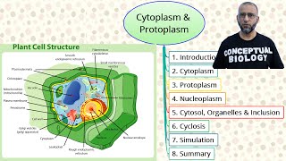 Cytoplasm and Protoplasm with Dr Sohail Jamil Qureshi  MDCAT Biology [upl. by Naitsyrk]