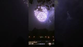 quotDay 1 Fireworks Battersea Park Spectacle Part 12  Thames Lights Upquot fireworkdisplay london 🌉🎆 [upl. by Nhepets]