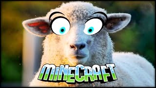 Minecraft  Sheep is not a Centaur  Build Battle [upl. by Lak]