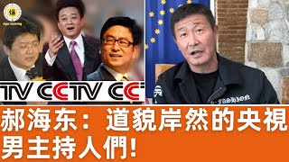 【郝海东】CCTV男主持们毫无道德底线道貌岸然，张宏民骂粉丝傻逼，朱军玩弄观众“看我把这帮傻逼弄哭”，许旸童可欣乱交，张斌数次出轨 郝海东 张斌 朱军 白岩松 许旸 童可欣 足球 [upl. by Arbua]