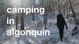 Winter Camping in Algonquin Park  Highland Backpacking Trail [upl. by Malchus283]