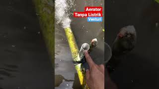 🤩Aerator Tanpa Listrik Oksigen Melimpah Ikan Sehat amp Cepat Besar shorts budidayaikan [upl. by Troxell]