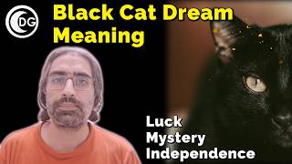 Black cat dream meaning and scenarios [upl. by Mcleod]