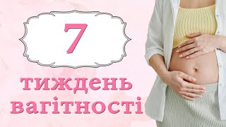 7 Тиждень Вагітності  Розвиток плода та відчуття мами [upl. by Currie]