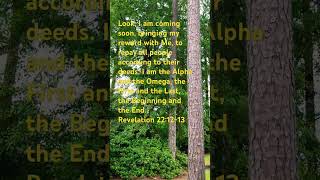 REVELATION 221223 wordofgod jesus kingofkings jesusislord gospelmusic holyspirit [upl. by Enegue]