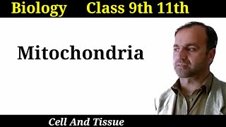 Mitochondria  Structure and functions of mitochondria  Cell organelles  Class 9 and 11 [upl. by Nomzed186]