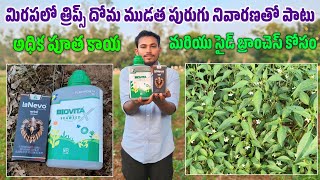 Dhanuka Lanevo Insecticide  Lanevo new insecticide  lanevo full details in telugu use in chilli [upl. by Wilson]